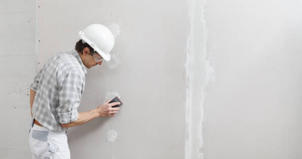 Environmental Consulting for Mold Prevention in Kingsland, TX